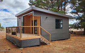 Glossy Black Cabin